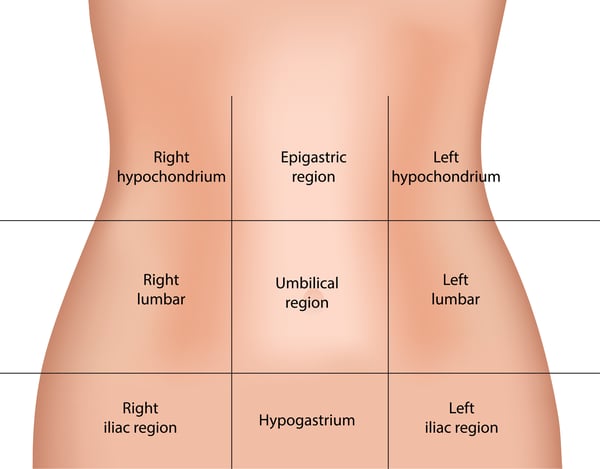 Pain Locator: Where Does it Hurt?