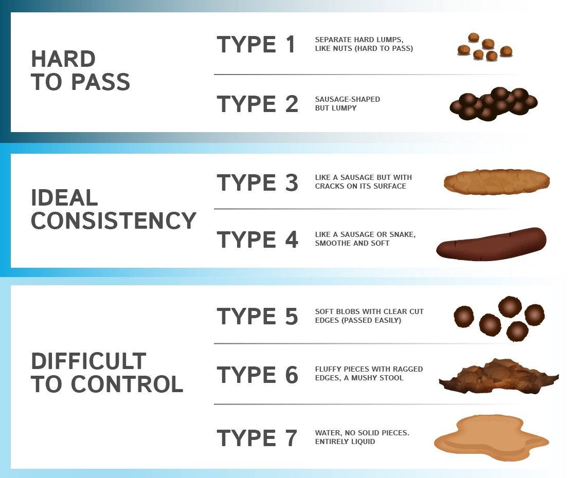 Ibs Stool Chart