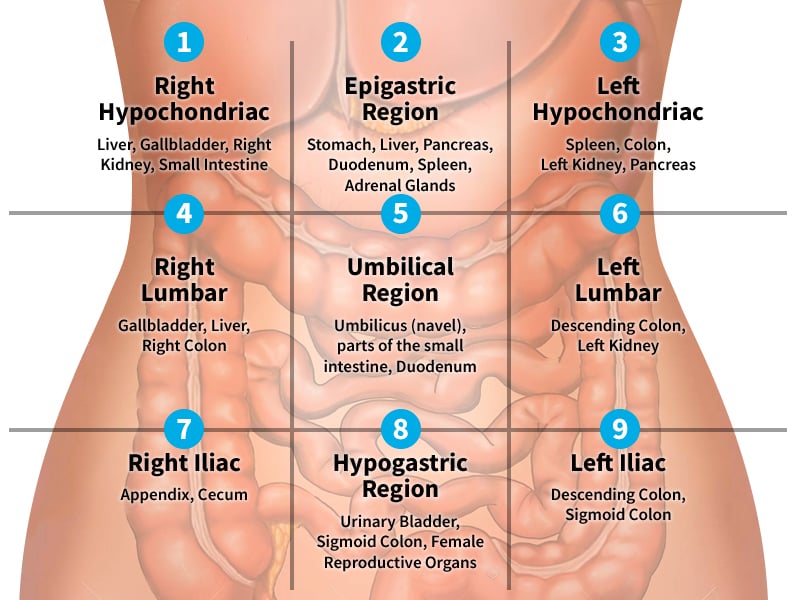 Abdominal Symptoms Chart